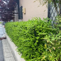 画像247