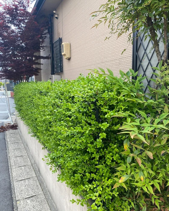 画像247