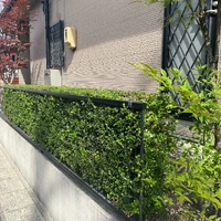 画像248