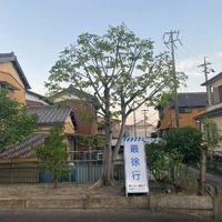 画像252