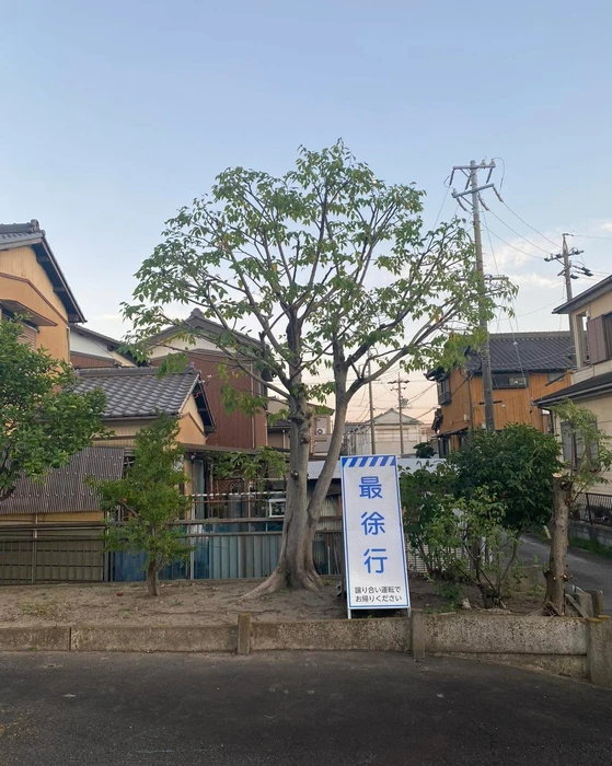 画像252