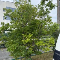 画像256