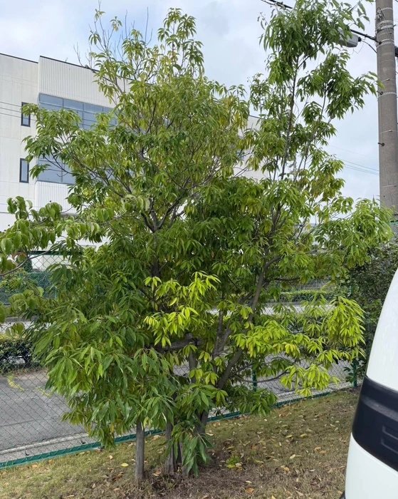 画像256