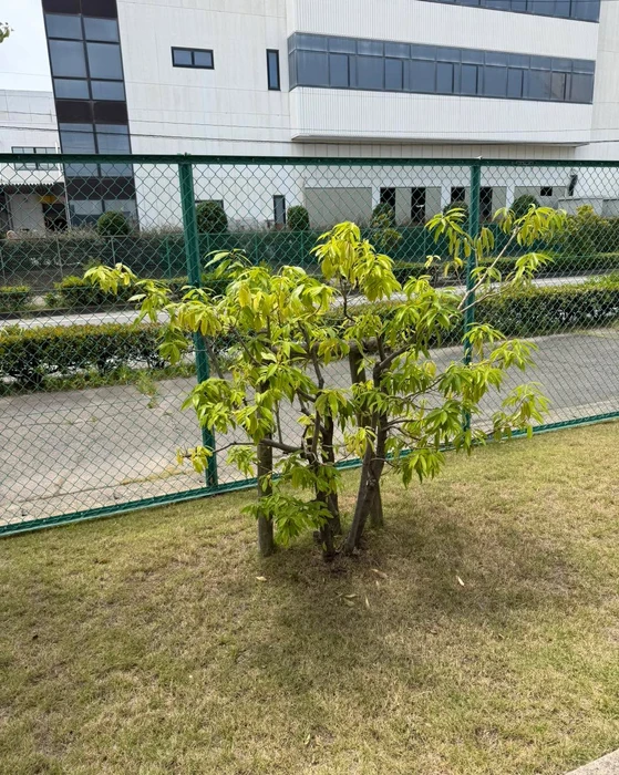 画像260