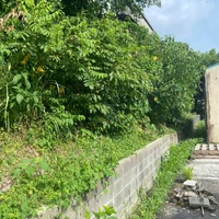 画像268