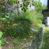 画像269