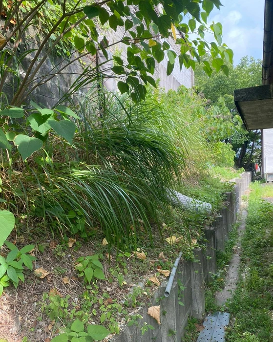 画像269