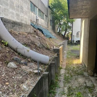 画像271