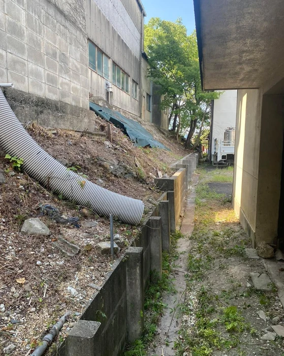画像271