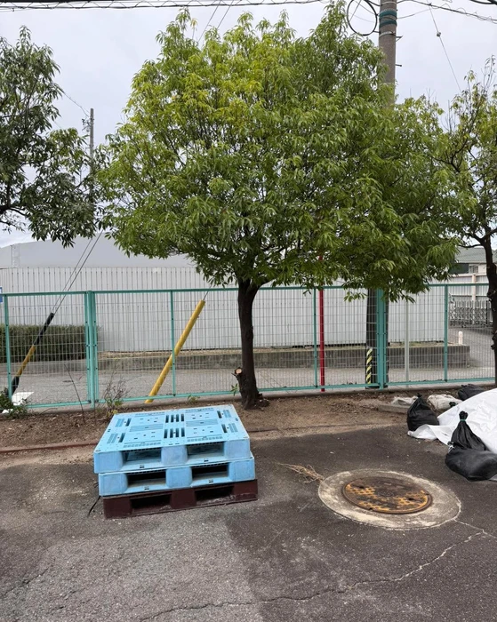 画像277