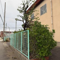画像283