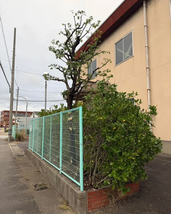 画像283