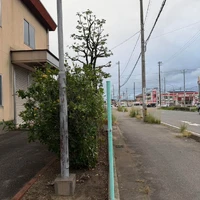 画像285