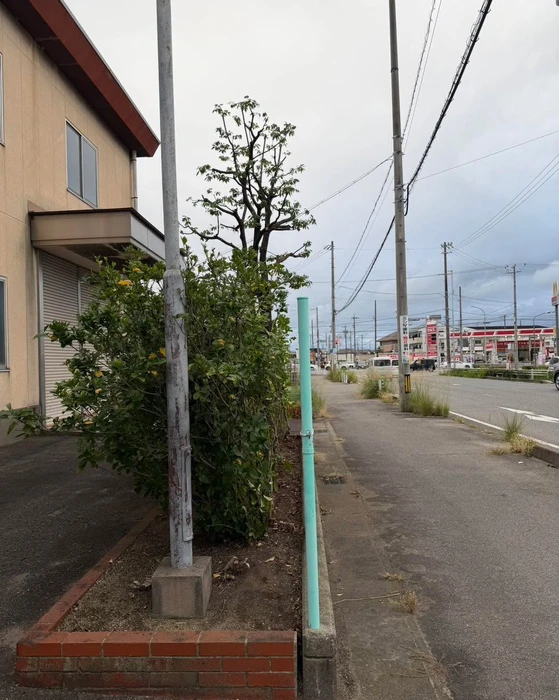 画像285