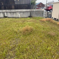 画像288