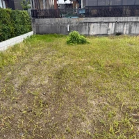 画像289