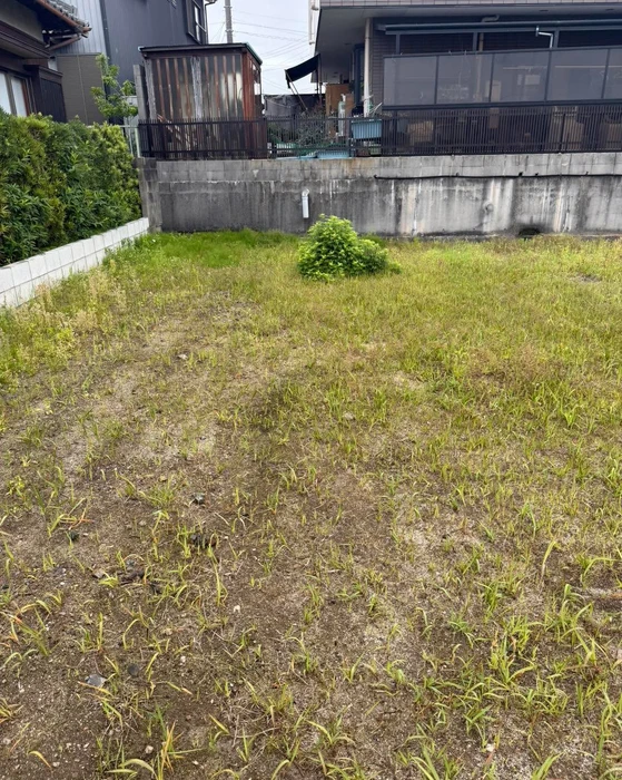 画像289