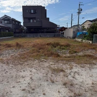 画像290