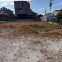 画像296