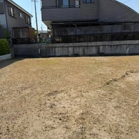画像298