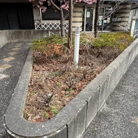 画像305