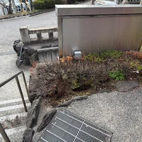 画像306