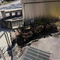 画像307