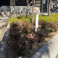 画像308