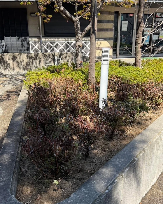 画像308