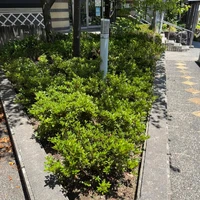 画像309