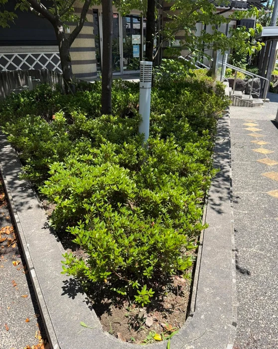画像309