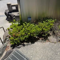 画像310