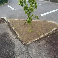 画像312