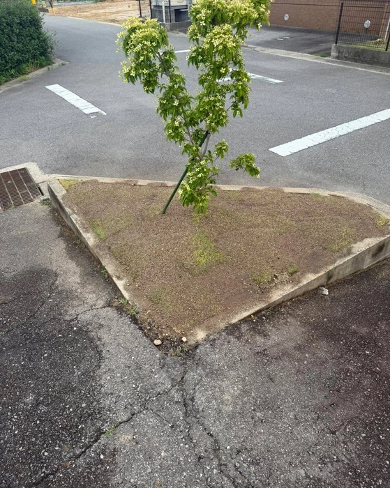 画像312