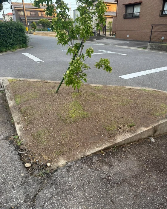画像313